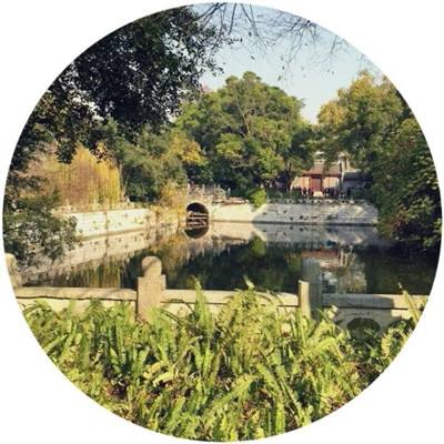 afk战斗公主归来游戏下载